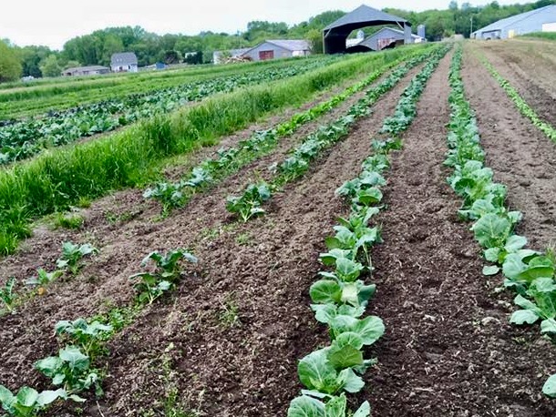 Eastview Farms photo